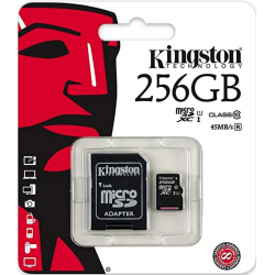 Kingston 256GB MicroSD...