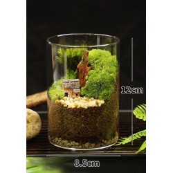 乡间小屋 - 微景观,创意桌面植物摆件...