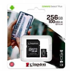 金士顿 Kingston 256GB 内存卡...