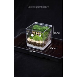 梦幻农场 - 微景观/ 创意桌面植物摆件...