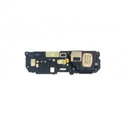 Loudspeaker Module For...