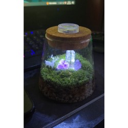 [001] Micro Landscape Moss...