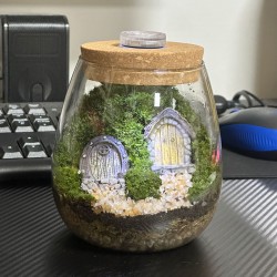 [002] Micro Landscape Moss...