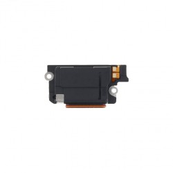 Earpiece Module For Google...
